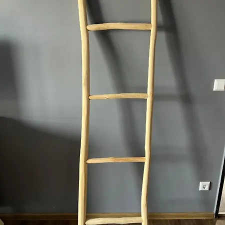 酒店 The Season 卡尔斯鲁厄